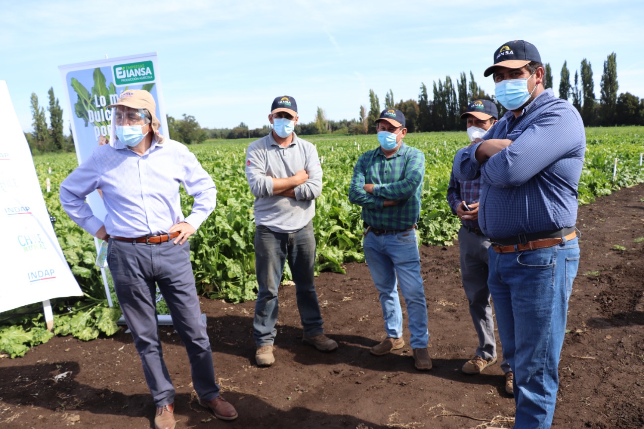 INDAP Consolida Red Mercados Campesinos y Amplía Oportunidades Ventas