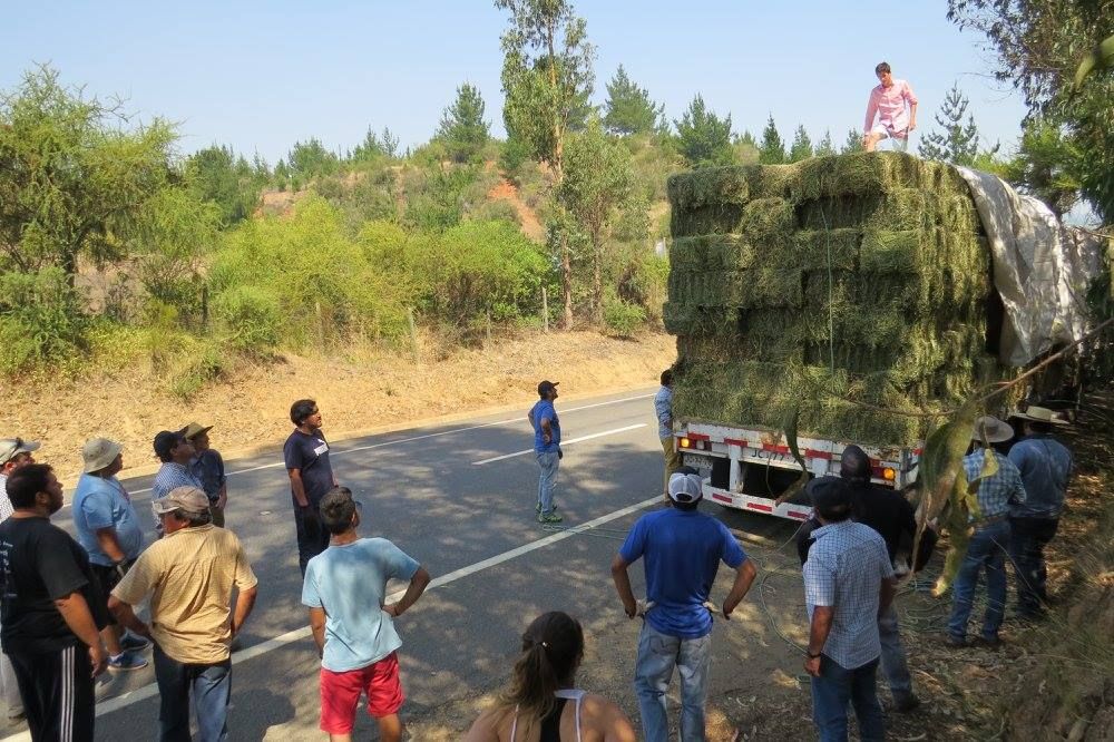 Campesinos de la Región de Valparaíso también se ponen con damnificados