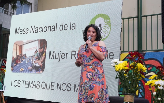 Encuentro de Género INDAP - Mesa Nacional Mujeres Rurales-3Interior