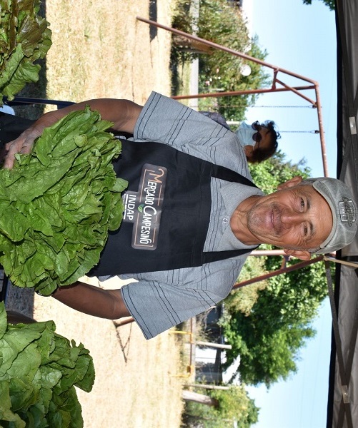 Mercado Campesino El Quillay