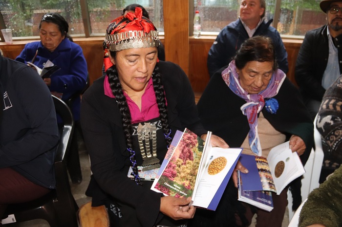 Semillas pueblo mapuche 3