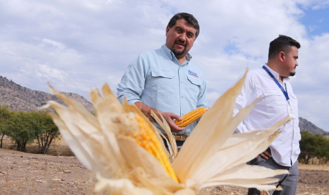 Visita pozos profundos Rauco 2