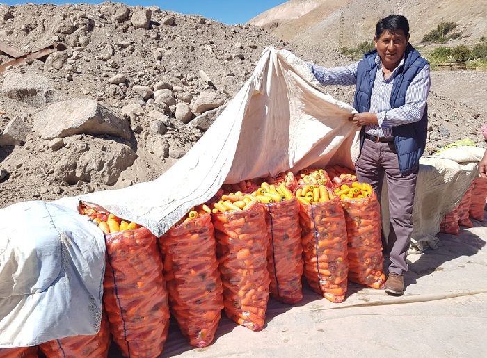 Eval An A Agricultores De Cami A Y Pica Para Sumarlos A Programa De