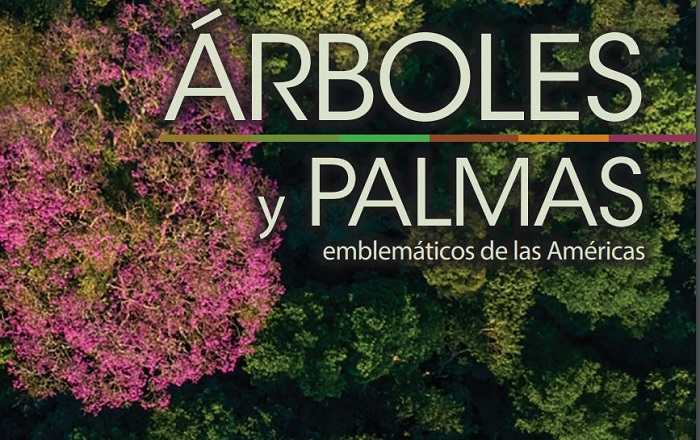IICA Y CATIE publicaron catálogo sobre árboles emblemáticos de las  Américas: Descárgalo aquí | Indap