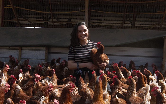 Agricultura Familiar Ofrece Sus Productos A Través De Mercados Campesinos Online En Todo El País 0887