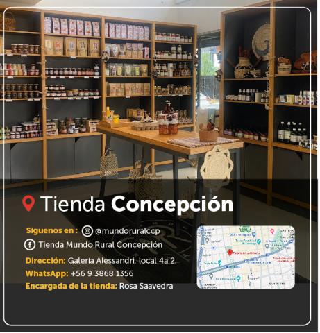 Tienda concepción